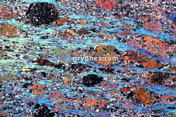 Micaschiste LPA x3,5 - gryphea.com